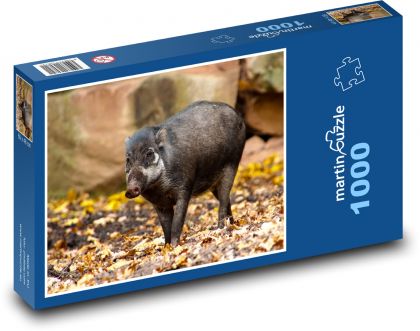 Wildlife - Pig - Puzzle 1000 pieces, size 60x46 cm 