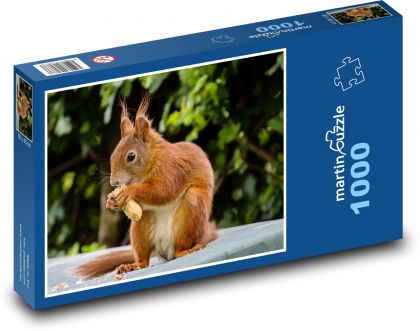 Zviera, hlodavec - Veverička - Puzzle 1000 dielikov, rozmer 60x46 cm