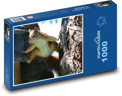 Veverka - zvíře, hlodavec - puzzle 1000 dílků