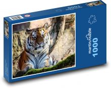 Dravec, tygr, šelma Puzzle 1000 - 60x46 cm