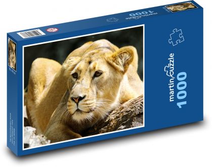 Lev - divoká zver - Puzzle 1000 dielikov, rozmer 60x46 cm