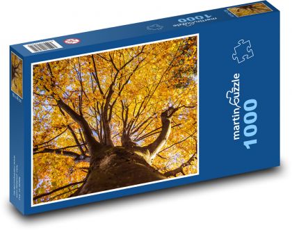 Podzimní listy - strom, buk - Puzzle 1000 dílků, rozměr 60x46 cm