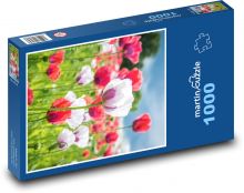 Poppy - poppy field, meadow Puzzle 1000 pieces - 60 x 46 cm 