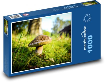 Huba v lese - mach, jeseň - Puzzle 1000 dielikov, rozmer 60x46 cm
