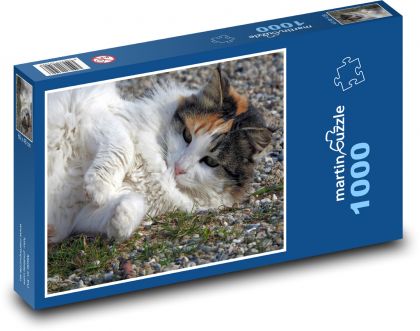 Hravá kočka - domácí mazlíček, zvíře - Puzzle 1000 dílků, rozměr 60x46 cm