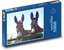 Osły - zwierzęta, zagroda Puzzle 1000 elementów - 60x46 cm
