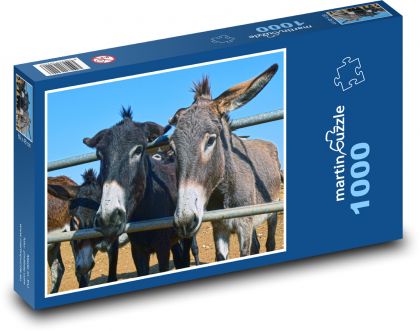 Donkeys - animals, farm - Puzzle 1000 pieces, size 60x46 cm 