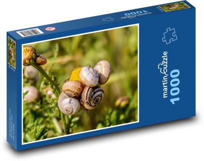 Šneci - měkkýši, příroda - Puzzle 1000 dílků, rozměr 60x46 cm