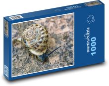 Hlemýžď - měkkýš, zvíře Puzzle 1000 - 60x46 cm