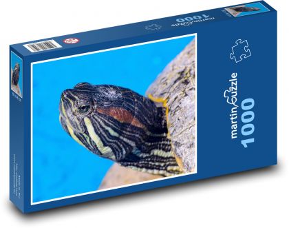 Želva - plaz, vodní živočich - Puzzle 1000 dílků, rozměr 60x46 cm