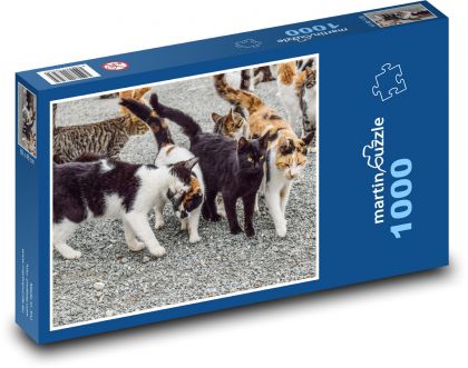 Divoké mačky - zvieratá, spolu - Puzzle 1000 dielikov, rozmer 60x46 cm