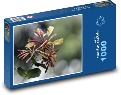 Zimolez - kvetina, rastlina - Puzzle 1000 dielikov, rozmer 60x46 cm