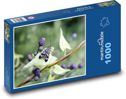 Hmyz - brouk - puzzle 1000 dílků