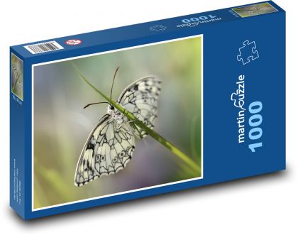 Motýl - okřídlený hmyz, křídla  - Puzzle 1000 dílků, rozměr 60x46 cm