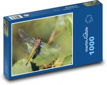 Vážka - hmyz, křídla  Puzzle 1000 dílků - 60 x 46 cm