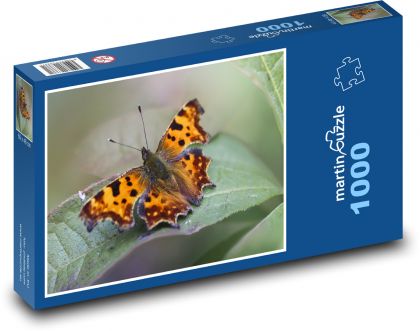 Motýl - hmyz, brouk - Puzzle 1000 dílků, rozměr 60x46 cm