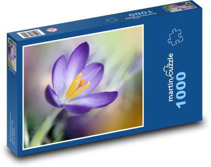 Krokus - kwiat, ogród - Puzzle 1000 elementów, rozmiar 60x46 cm