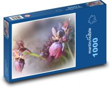 Čemerice - jar, rastlina Puzzle 1000 dielikov - 60 x 46 cm 