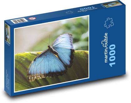 Błękitny motyl - owad, skrzydła - Puzzle 1000 elementów, rozmiar 60x46 cm
