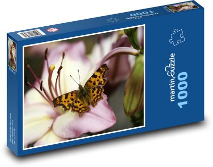 Motýl na květině - lilie, makro  - Puzzle 1000 dílků, rozměr 60x46 cm