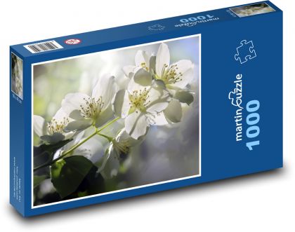 Jasmin - weiße Blüten, Busch - Puzzle - 1000 Teile