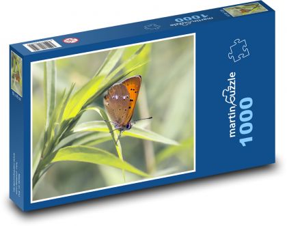 Okrídlený hmyz - medený motýľ, tráva - Puzzle 1000 dielikov, rozmer 60x46 cm