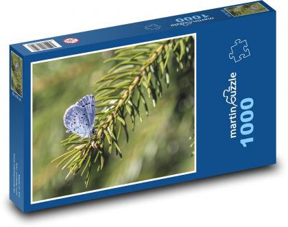 Blue holly - butterfly, spruce - Puzzle 1000 pieces, size 60x46 cm 