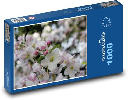 Růžový květ - květiny, jaro - Puzzle 1000 dílků, rozměr 60x46 cm