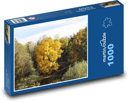 Barevný podzim - listy, stromy - Puzzle 1000 dílků, rozměr 60x46 cm