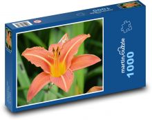 Kwiat - natura, makro Puzzle 1000 elementów - 60x46 cm