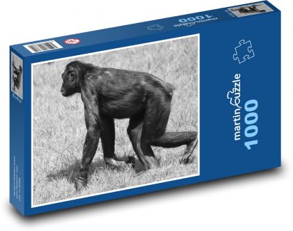 Opice - zvíře, savec - Puzzle 1000 dílků, rozměr 60x46 cm