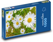 Flowers - nature, spring Puzzle 1000 pieces - 60 x 46 cm