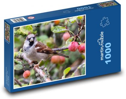 Vrabec na vetve - vták, zviera - Puzzle 1000 dielikov, rozmer 60x46 cm