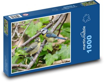 Sýkorka modřinka - pták, strom  - Puzzle 1000 dílků, rozměr 60x46 cm
