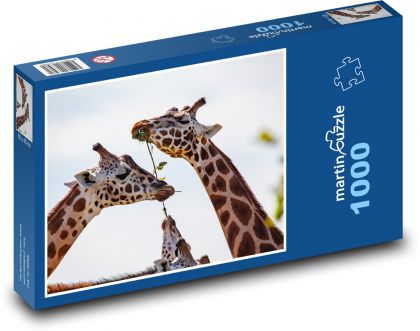 Żyrafa - długa szyja, zwierzę - Puzzle 1000 elementów, rozmiar 60x46 cm