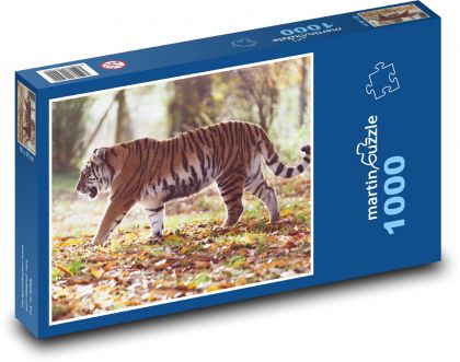 Tiger amurský - zviera, lovec - Puzzle 1000 dielikov, rozmer 60x46 cm