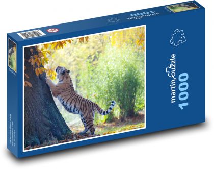 Tygr amurský - dravec, savec - Puzzle 1000 dílků, rozměr 60x46 cm