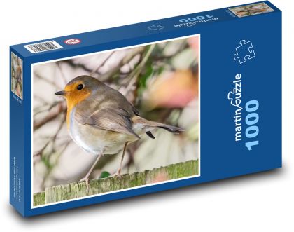 Červenka na plotě - pták, zvíře - Puzzle 1000 dílků, rozměr 60x46 cm
