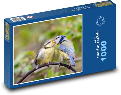 Krmení mláďat - modřinka, pták - Puzzle 1000 dílků, rozměr 60x46 cm