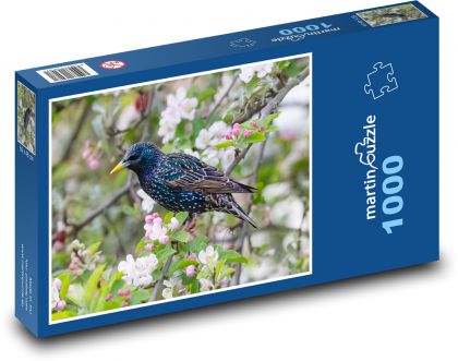 Špaček - vták, jabloň - Puzzle 1000 dielikov, rozmer 60x46 cm