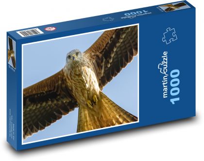 Červený drak - pták, dravec - Puzzle 1000 dílků, rozměr 60x46 cm