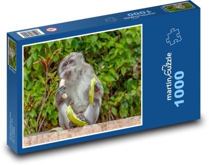 Monkey with bananas - macaque, eat - Puzzle 1000 pieces, size 60x46 cm 