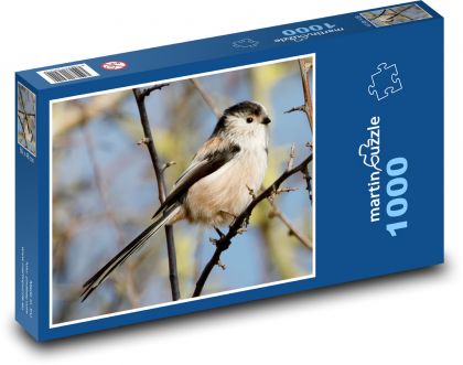 Sýkorka dlouhoocasá - pták, větev - puzzle 1000 dílků