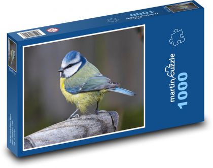 Modraszka - ptak, pióra - Puzzle 1000 elementów, rozmiar 60x46 cm
