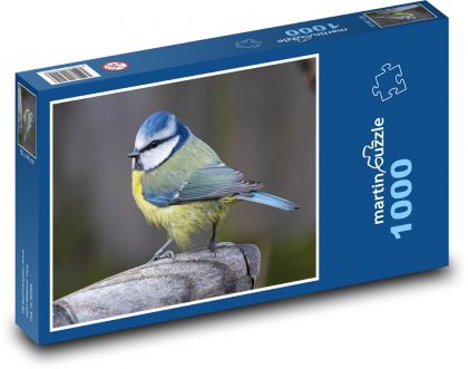 Tit bruise - bird, feather - Puzzle 1000 pieces, size 60x46 cm 