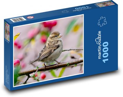 Vrabec polní - zpěvný pták, zvíře - Puzzle 1000 dílků, rozměr 60x46 cm