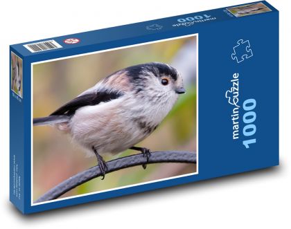 Pták - zobák, peří - Puzzle 1000 dílků, rozměr 60x46 cm