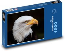 Orel bělohlavý - dravec, pták Puzzle 1000 dílků - 60 x 46 cm