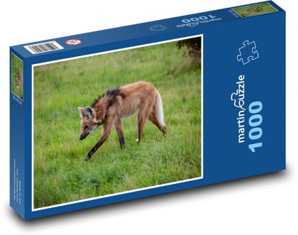 Wolf with mane - pasture, animal - Puzzle 1000 pieces, size 60x46 cm 