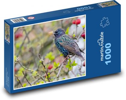 Erwachsener Star - Vogel, Baum - Puzzle - 1000 Teile